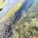 Photo n°1 de l'avis de daniele.a fait le 16/07/2023 à 06:21 sur le  Baia Del Sole Hotel à RAGUSA