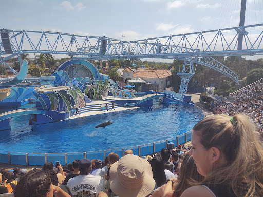 Aquarium «Shark Encounter», reviews and photos, Mission Bay Park, San Diego, CA 92109, USA