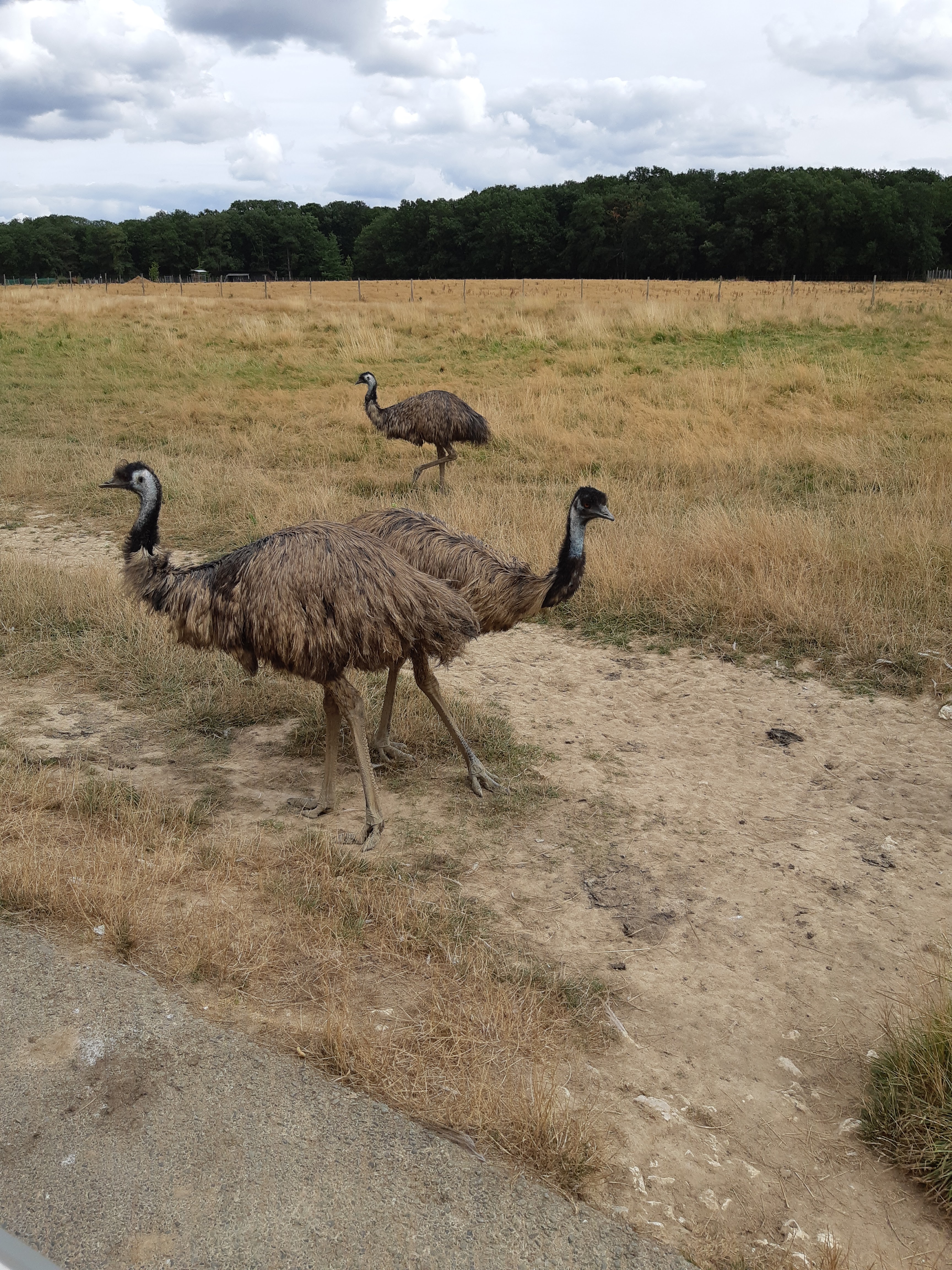 Photo n° 31 de l'avis de Carla.a fait le 10/08/2018 à 15:54