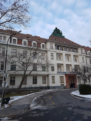 Debrecen, Department of Obstetrics and Gynecology, Nagyerdei krt. 98, 4032 Magyarország