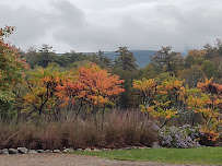 Stone Meadow Gardens - Photo 4 - Car repair in Clarks Summit, PA, Scranton