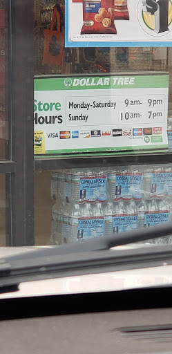 Dollar Store «Dollar Tree», reviews and photos, 3420 150th St W, Rosemount, MN 55068, USA