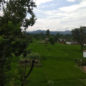 Hotel Sidharth photo