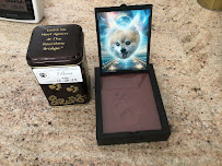 Family Pet Services - Photo 6 - Car repair in Tucson, AZ, Tucson