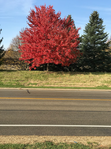 Insurance Agency «American Family Insurance - Shucheng Xu Agency», reviews and photos