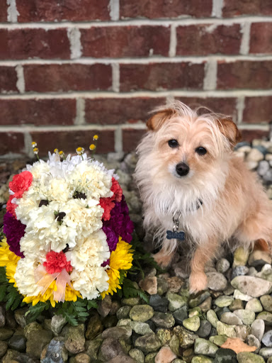 Florist «The FRENCH TULIP Studio», reviews and photos, 11523 Lantern Rd, Fishers, IN 46037, USA