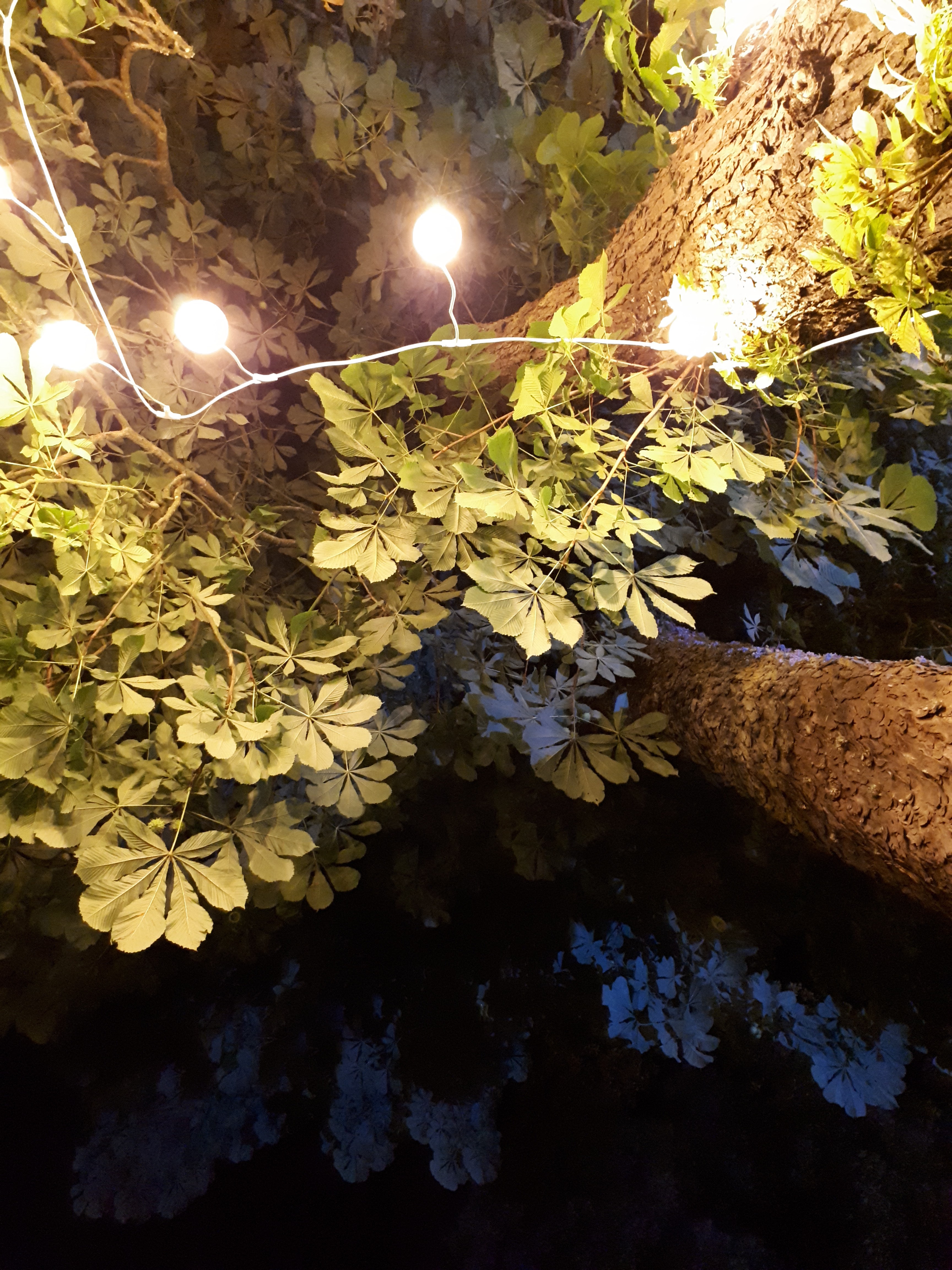 Photo n° 4 de l'avis de Benoît.E fait le 14/08/2018 à 19:35