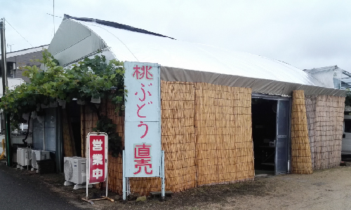 池田農園 直売所