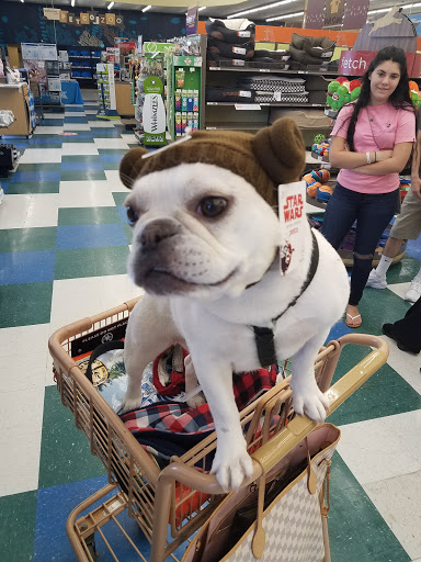 Pet Supply Store «Petco Animal Supplies», reviews and photos, 825 Brevard Rd, Asheville, NC 28806, USA