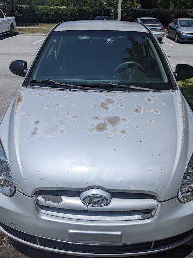 Auto Body Shop «M and D Auto Body», reviews and photos, 1943 Sherwood St, Clearwater, FL 33765, USA