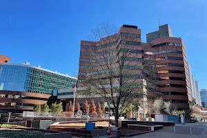 Vanderbilt University Medical Center image