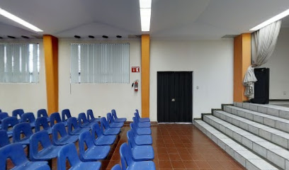Instituto Valladolid Primaria