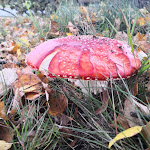 Photo n°3 de l'avis de Daniela.o fait le 19/10/2019 à 11:53 sur le  Hotel Gasthof Zur Heinzebank GmbH à Wolkenstein