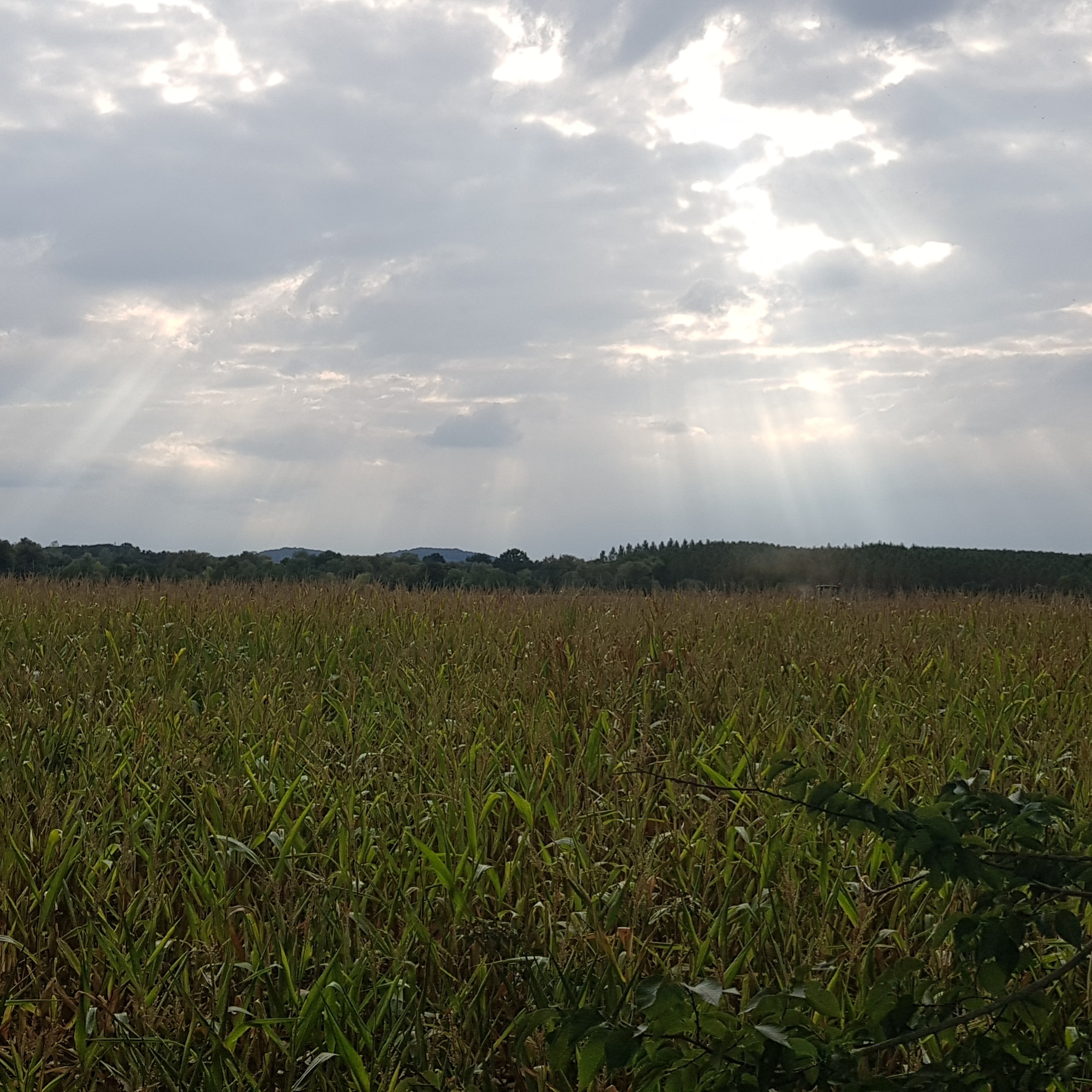 Photo n° 2 de l'avis de Thiry.h fait le 26/10/2018 à 16:26