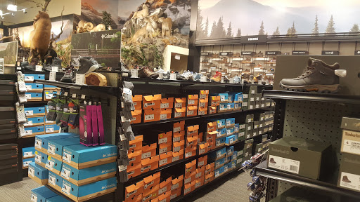 Outdoor Sports Store «Field & Stream», reviews and photos, 800 Brevard Rd #901, Asheville, NC 28806, USA