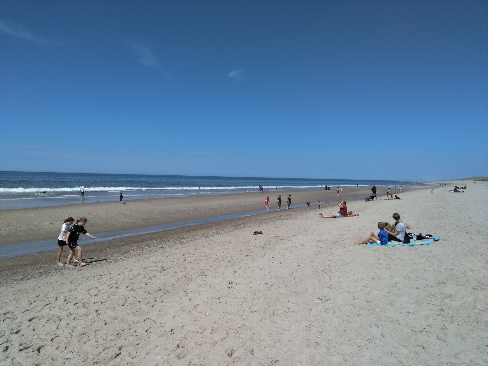 Photo de Sondervig Beach situé dans une zone naturelle
