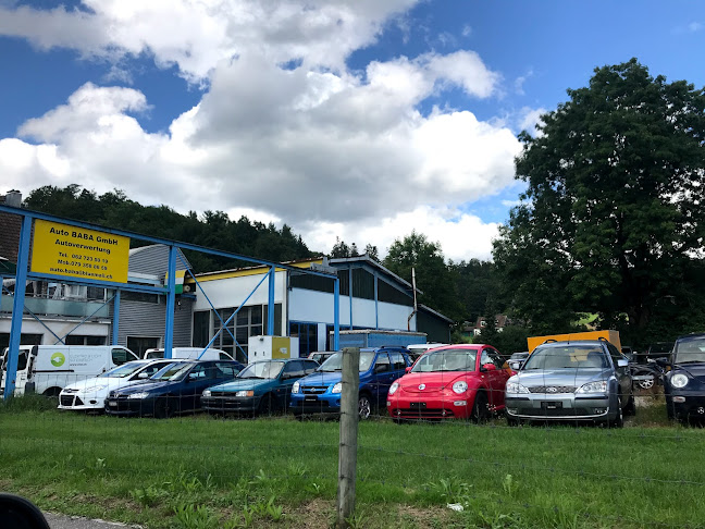 Rezensionen über Auto Baba GmbH in Aarau - Andere