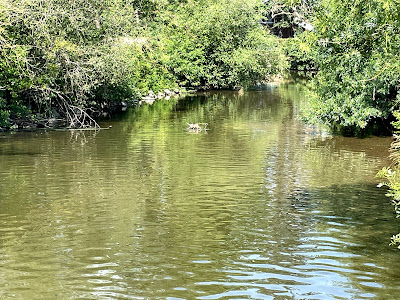 aire de services camping car à Vallons-de-L'Erdre