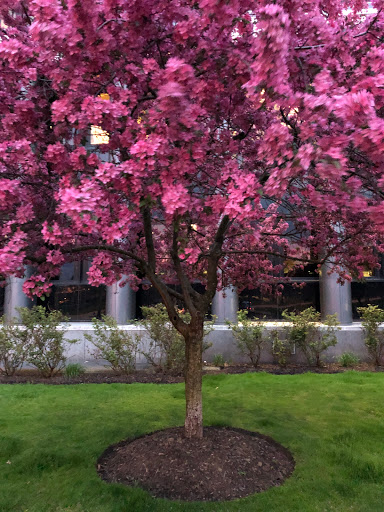 Shopping Mall «Fifth Avenue Place», reviews and photos, 201 Fifth Ave, Pittsburgh, PA 15222, USA