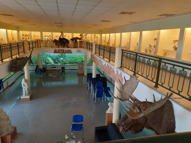 Μουσείο Φυσικής Ιστορίας Ιστιαίας Ανοιχτές ώρες