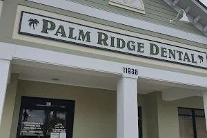 Palm Ridge Plaza image