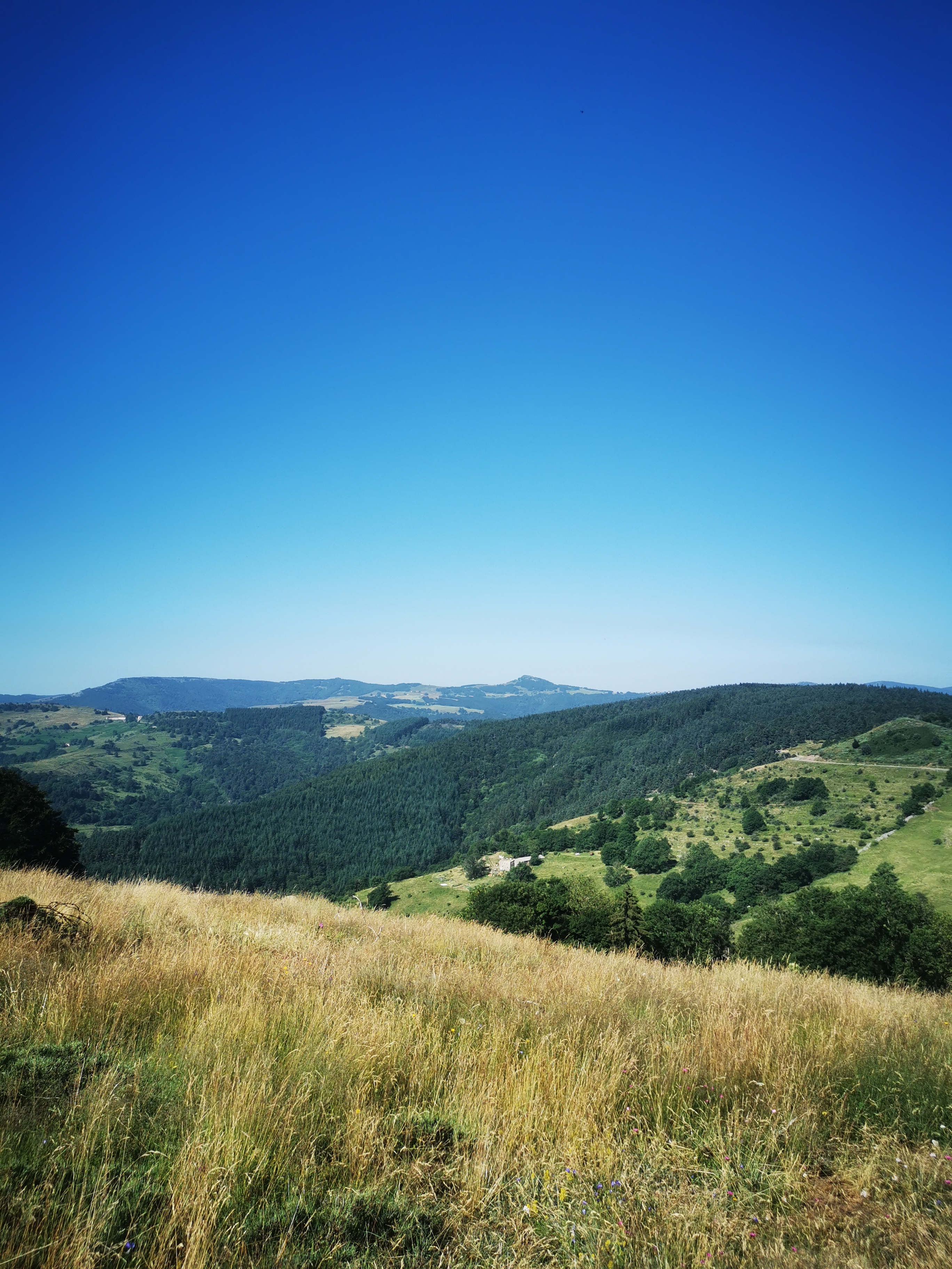 Photo n° 27 de l'avis de Seb. fait le 14/07/2023 à 04:55