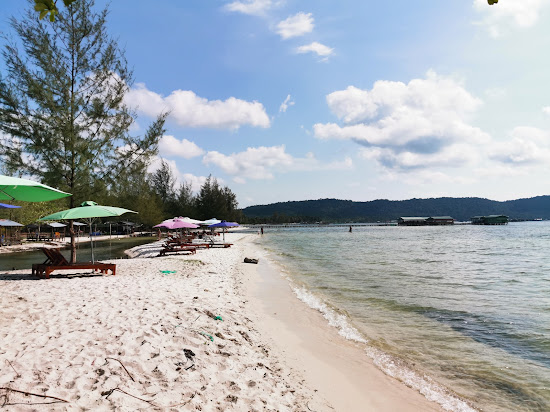 Starfish Beach