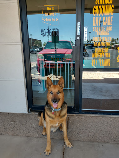 State 48 Dog Training and Service Dogs