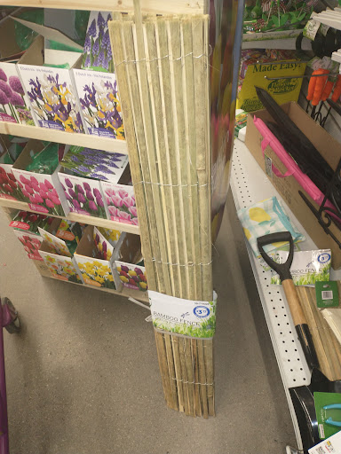 Discount Store «99 Cents Only Stores», reviews and photos, 2009 N Stapley Dr, Mesa, AZ 85203, USA