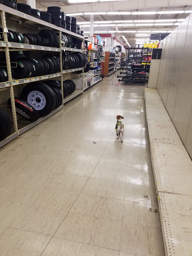 Home Improvement Store «Tractor Supply Co.», reviews and photos, 2375 Pleasant St, Noblesville, IN 46060, USA