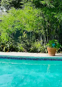 ASP - America's Swimming Pool Company of New Orleans - Car repair in , New Orleans - Rated 5.0/5