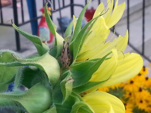 Cafe «Haven Coffee & Espresso Bar», reviews and photos, 5462 US-9W, Newburgh, NY 12550, USA