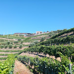 Photo n°6 de l'avis de José.r fait le 29/07/2021 à 13:04 sur le  Vila Galé Douro Vineyards à Marmelal