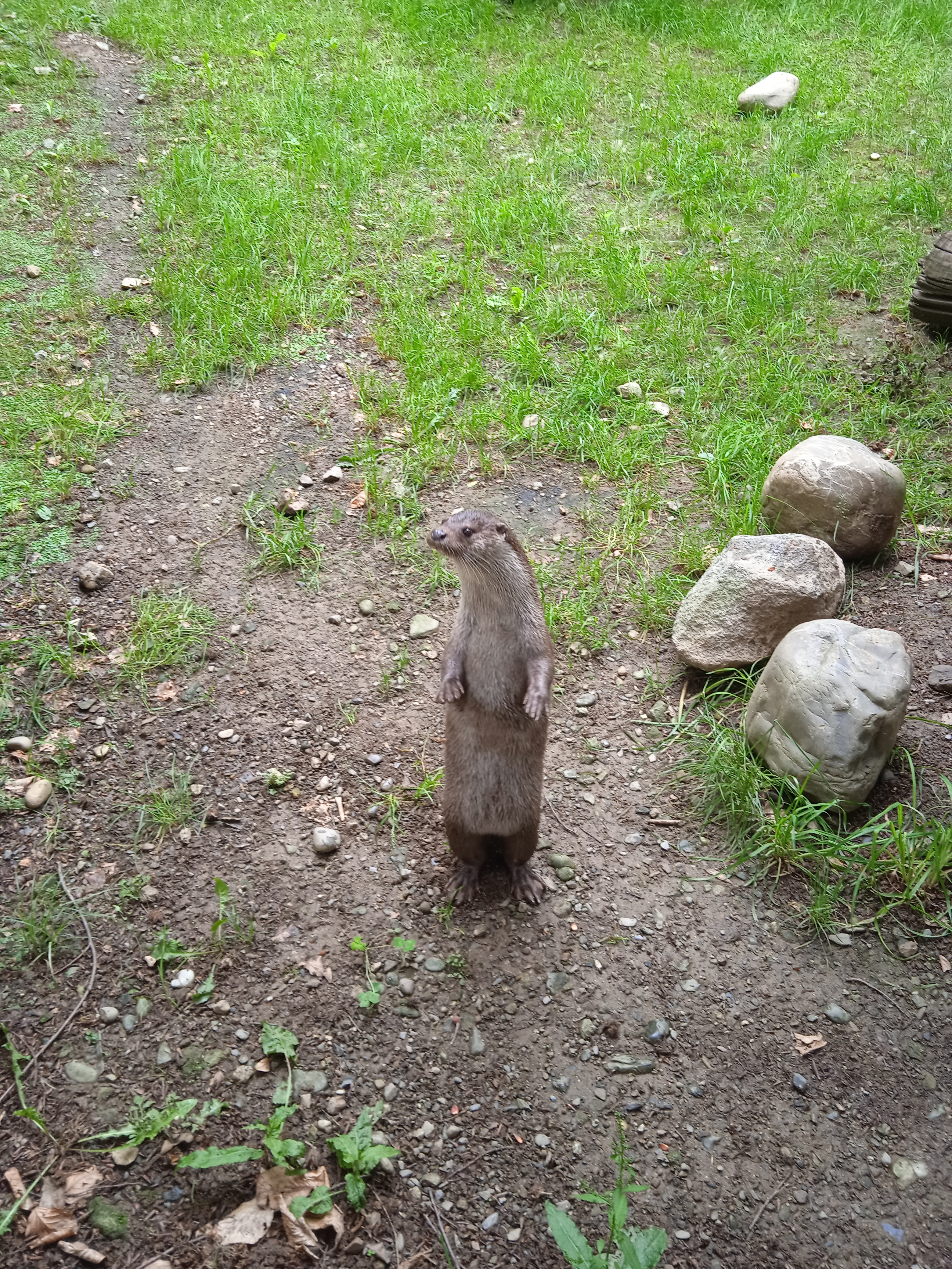 Photo n° 2 de l'avis de Gamer.p fait le 04/06/2022 à 18:21