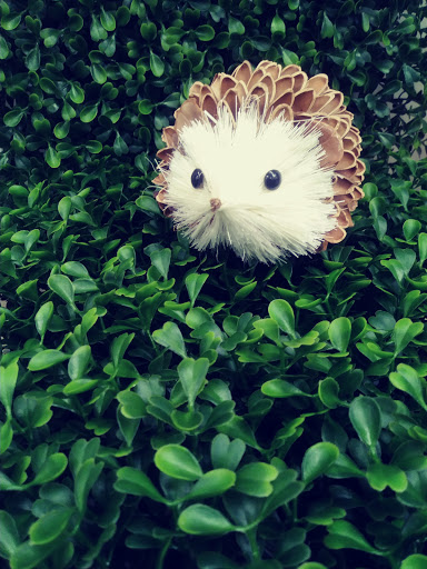 Fabric Store «Jo-Ann Fabrics and Crafts», reviews and photos, 8000 Plaza Blvd, Mentor, OH 44060, USA