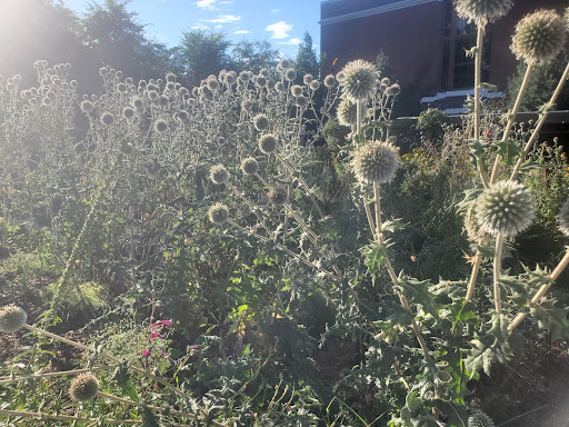 Movie Theater «McMenamins Anderson School Theater», reviews and photos, 18607 Bothell Way NE, Bothell, WA 98011, USA