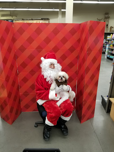 Pet Supply Store «Petco Animal Supplies», reviews and photos, 9111 Metropolitan Ave, Rego Park, NY 11374, USA