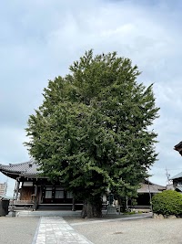 法城山 圓通寺