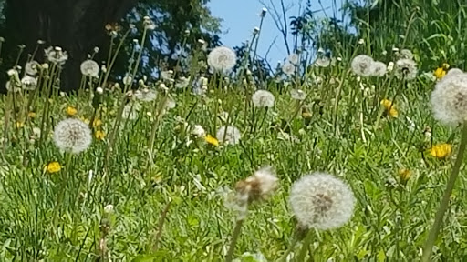 Park «Vermijo Park», reviews and photos, 2601 W Vermijo Ave, Colorado Springs, CO 80904, USA