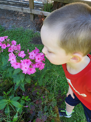 Amusement Park «Pacific NW Live Steamers», reviews and photos, 31803 S Shady Dell Rd, Molalla, OR 97038, USA