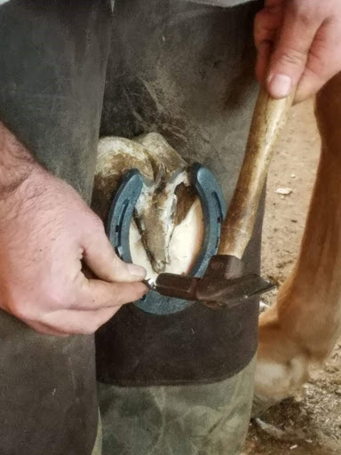 Strickland Farrier service