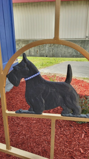 Pet Groomer «Blue Ribbon Dog Grooming LLC Anderson», reviews and photos, 5038 S Scatterfield Rd, Anderson, IN 46013, USA