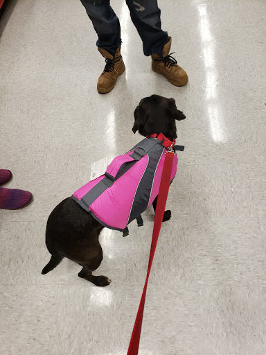 Pet Supply Store «Petco Animal Supplies», reviews and photos, 2230 Marlton Pike W #3, Cherry Hill, NJ 08002, USA