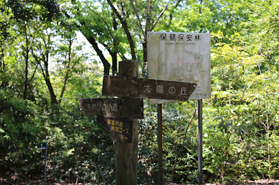 岡崎中央総合公園 健康の森