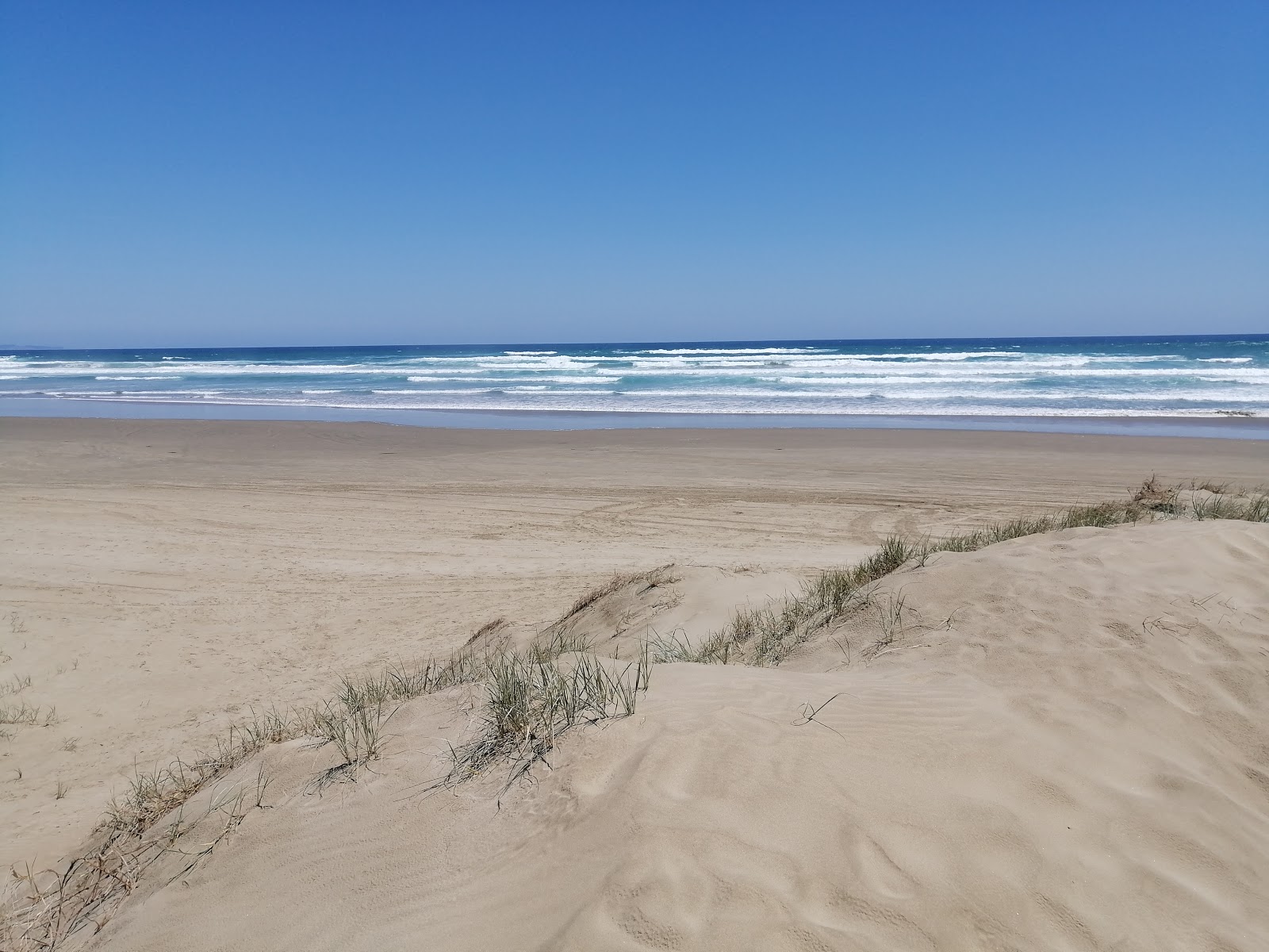 Φωτογραφία του 90 Mile Beach με φωτεινή λεπτή άμμο επιφάνεια
