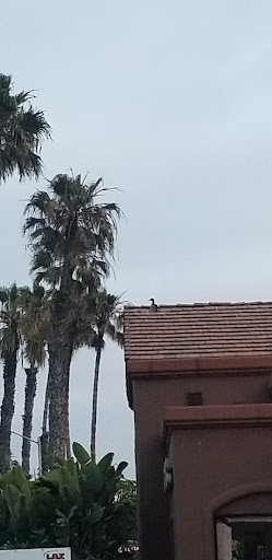 Shopping Mall «Promenade At Pacific Beach», reviews and photos, 2369 Riviera Dr, San Diego, CA 92109, USA