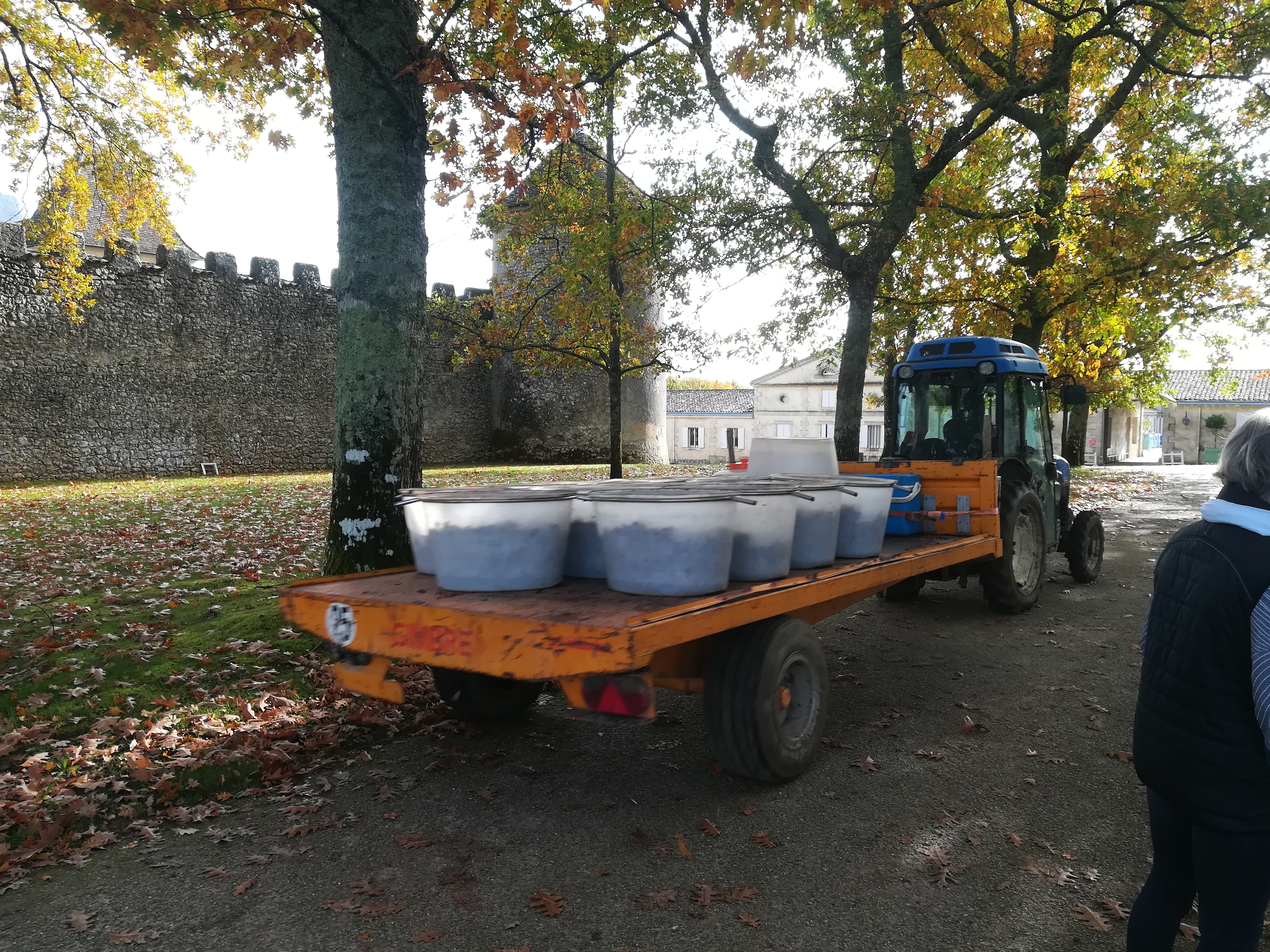 Photo n° 2 de l'avis de henri.a fait le 30/10/2020 à 00:29