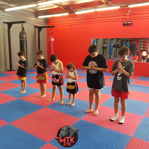 Muay Thai Kickboxing Gym image
