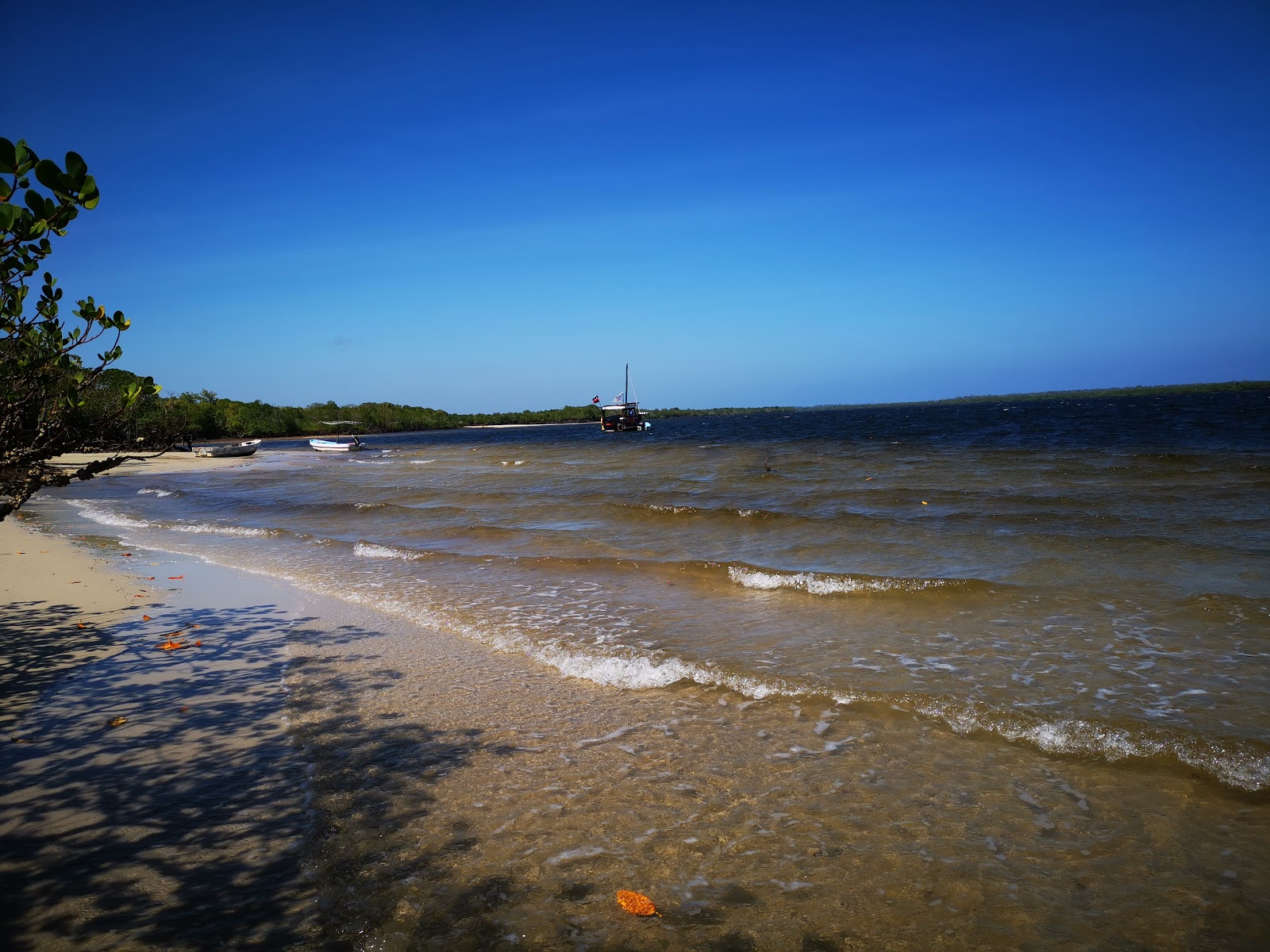 Funzi Beach的照片 带有长直海岸