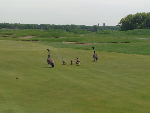 Golf Course «Harborside International Golf Center», reviews and photos, 11001 S Doty Ave, Chicago, IL 60628, USA